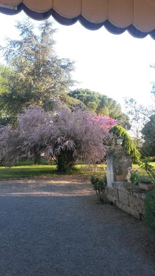 Maison d'hôtes Domaine Mongiron