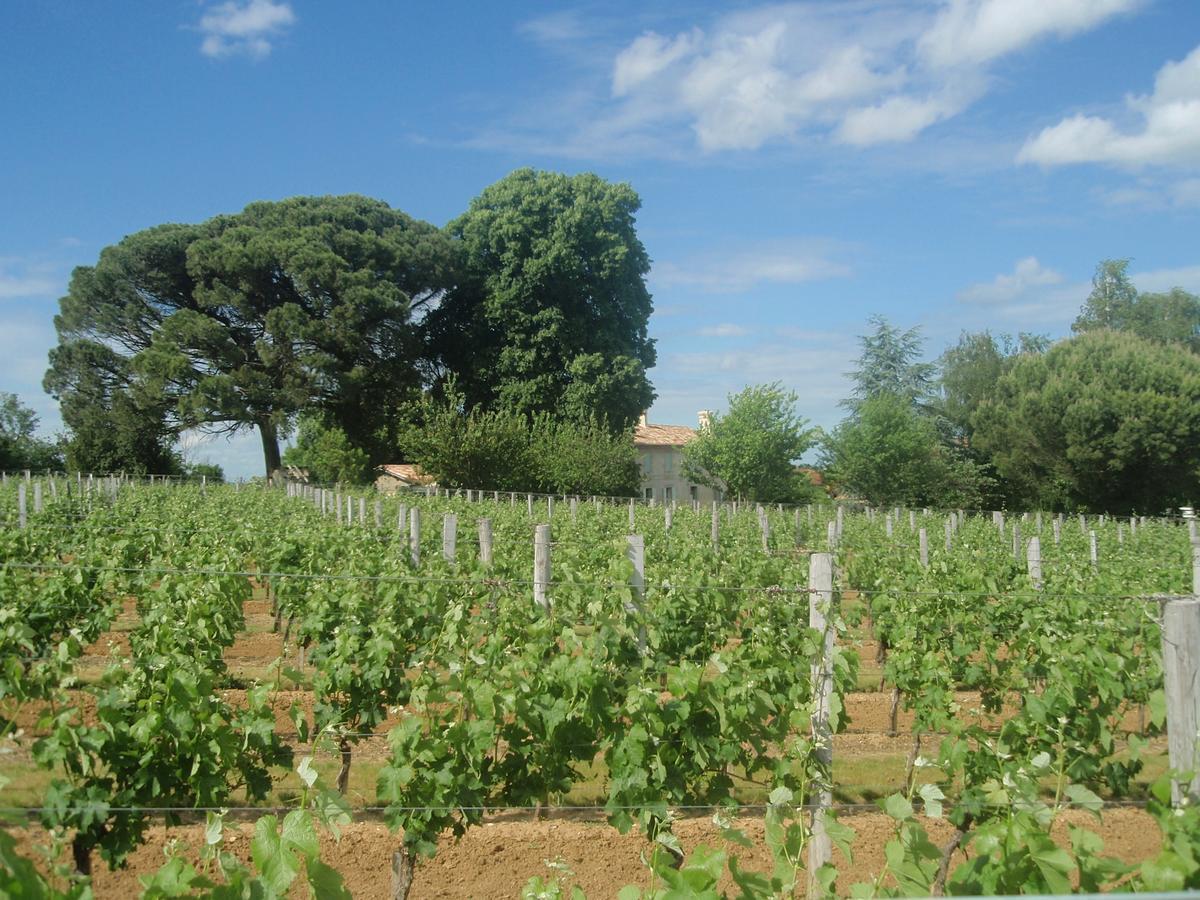 Maison d'hôtes Domaine Mongiron 4*