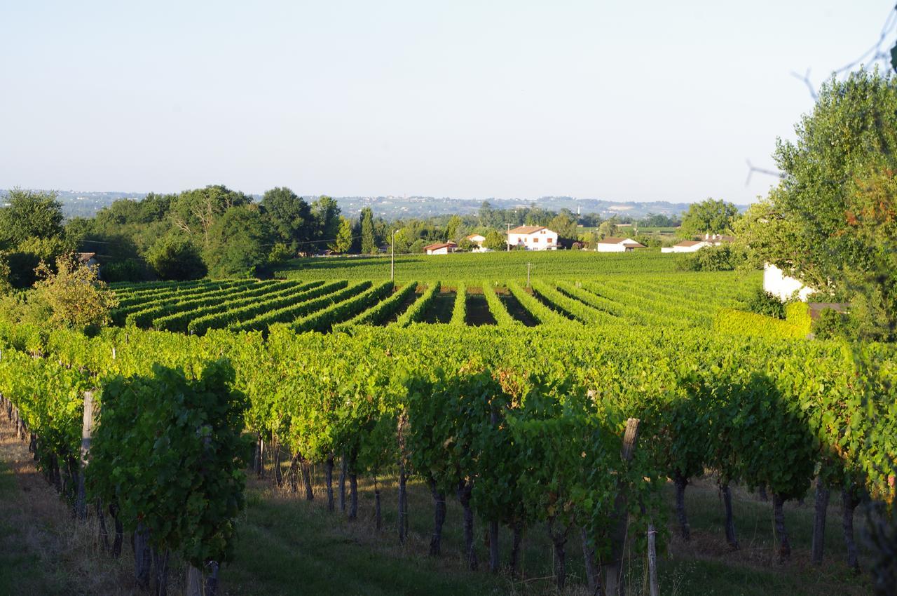 Domaine Mongiron Maison d'hôtes